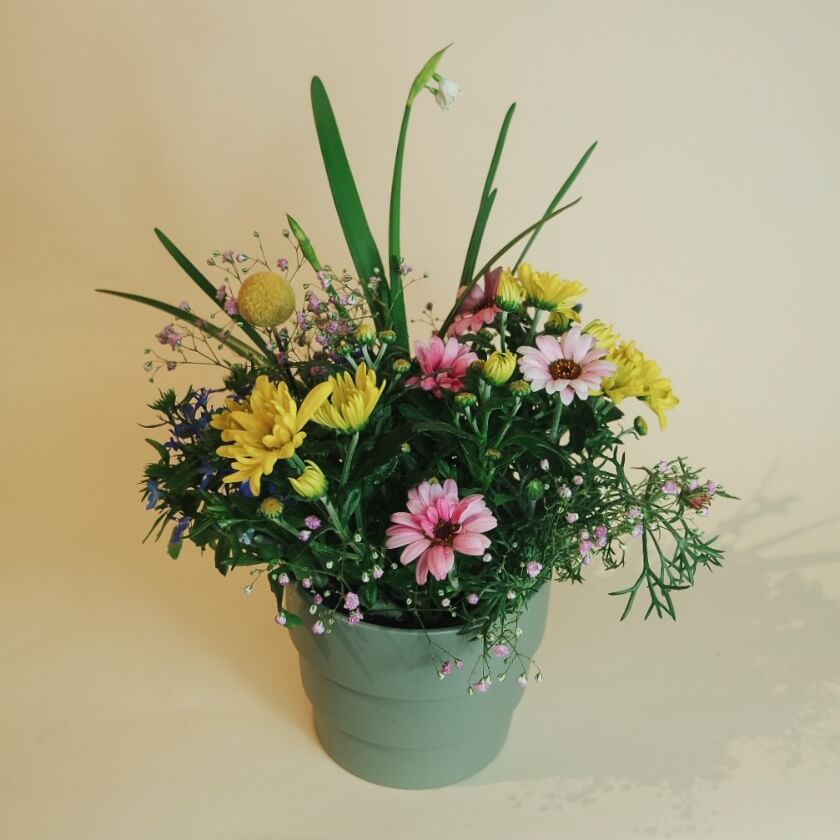 How-To: Growing Bouquet - So behältst du deine Blumen in Topform!