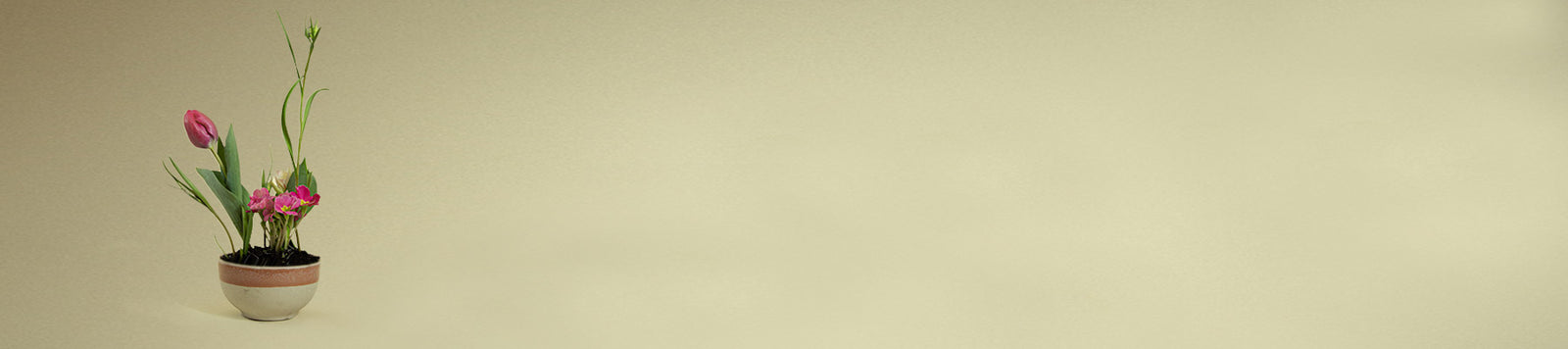 Growing Bouqets Blumensträuße Nachhaltig