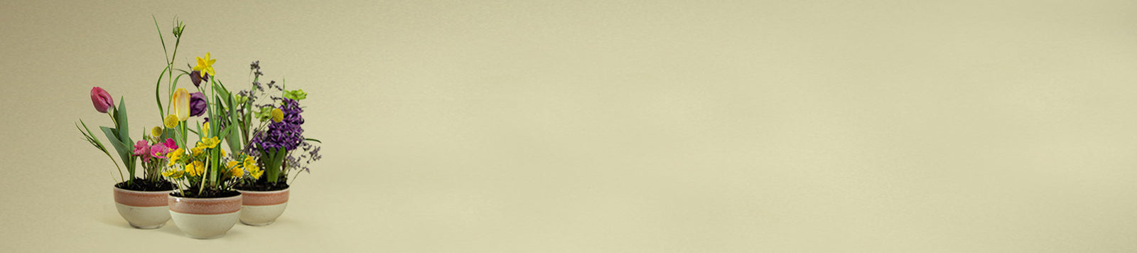 Trockenblumen DIY Set Flower Hoop Blumenring Haarkranz aus Trockenblumen selber machen Blumendeko Blumenring Trockenblumenwand Dekoration Blumen Basten 