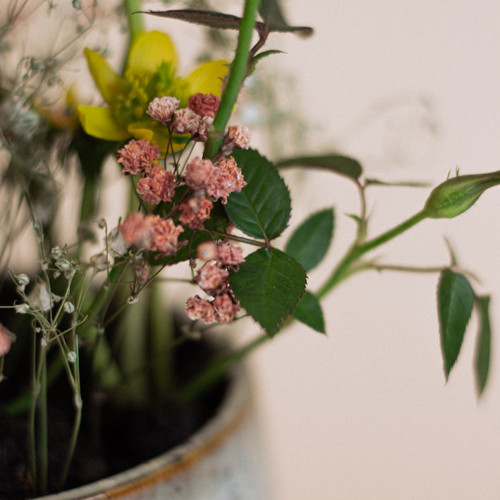 Growing Bouquet &#39;Bunt&#39;