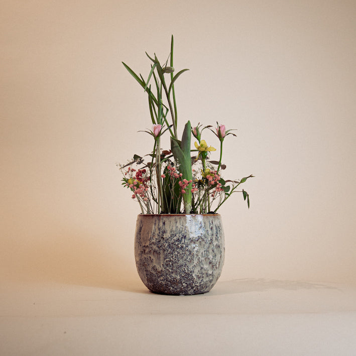 Growing Bouquet 'Bunt'