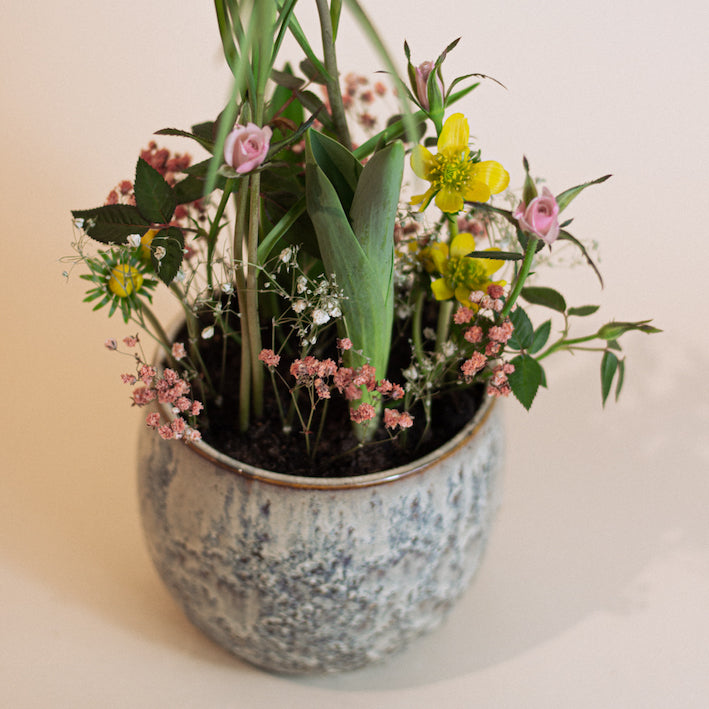 Growing Bouquet &#39;Bunt&#39;