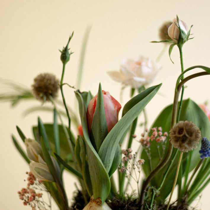 Growing Bouquet &#39;Rose&#39;