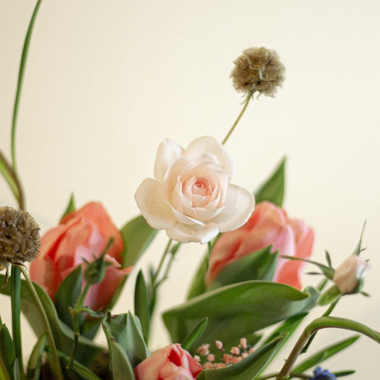 Growing Bouquet 'Rose'