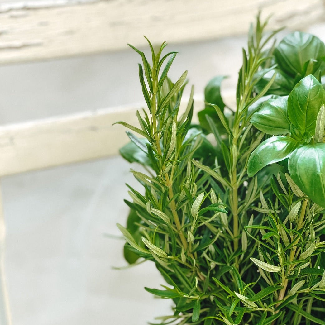 Essbares Growing Bouquet in leuchtenden Grün - ein blühendes Erlebnis für Zuhause.