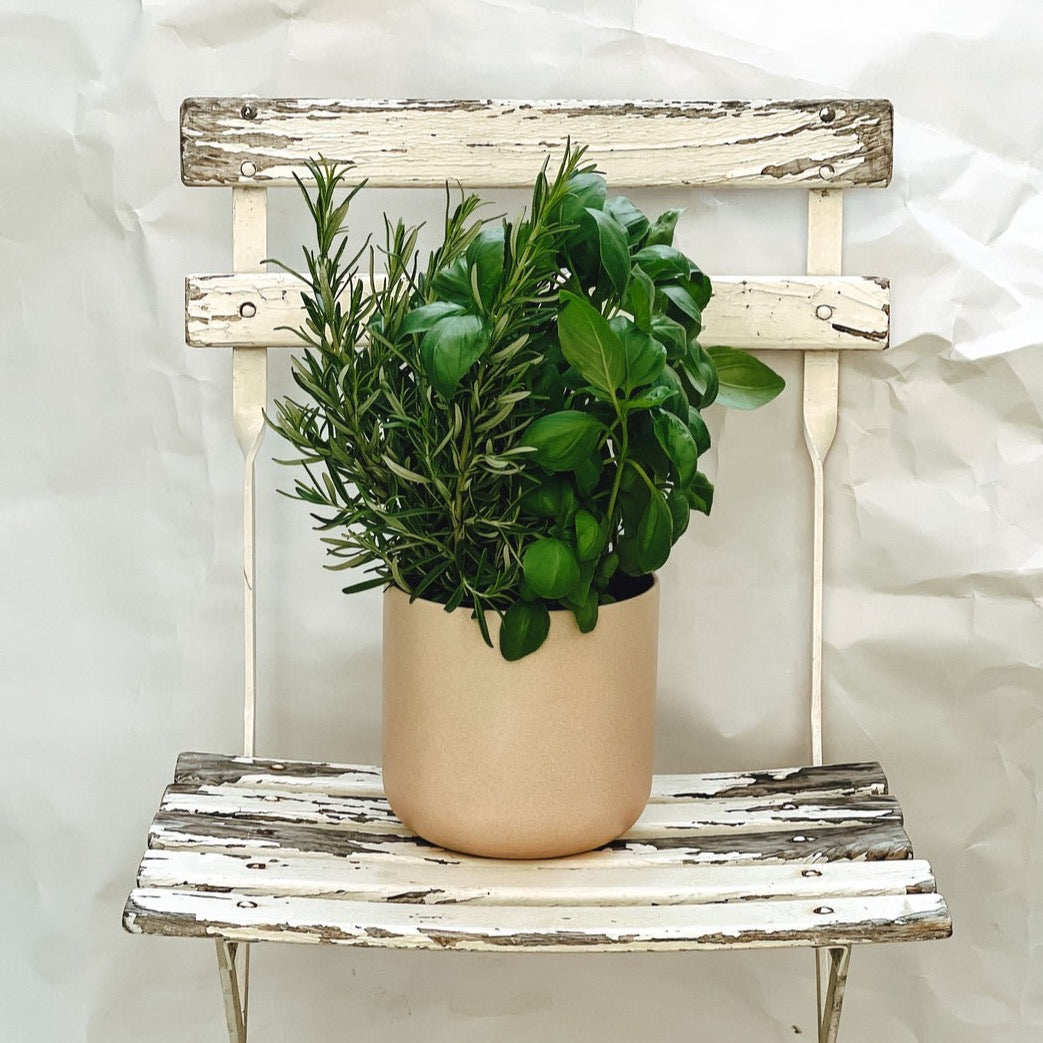 Essbares Growing Bouquet in leuchtenden Grün - ein blühendes Erlebnis für Zuhause.