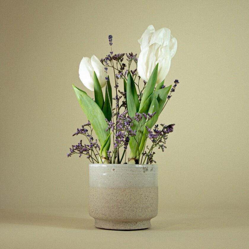 Growing Bouquet &#39;Hell&#39;