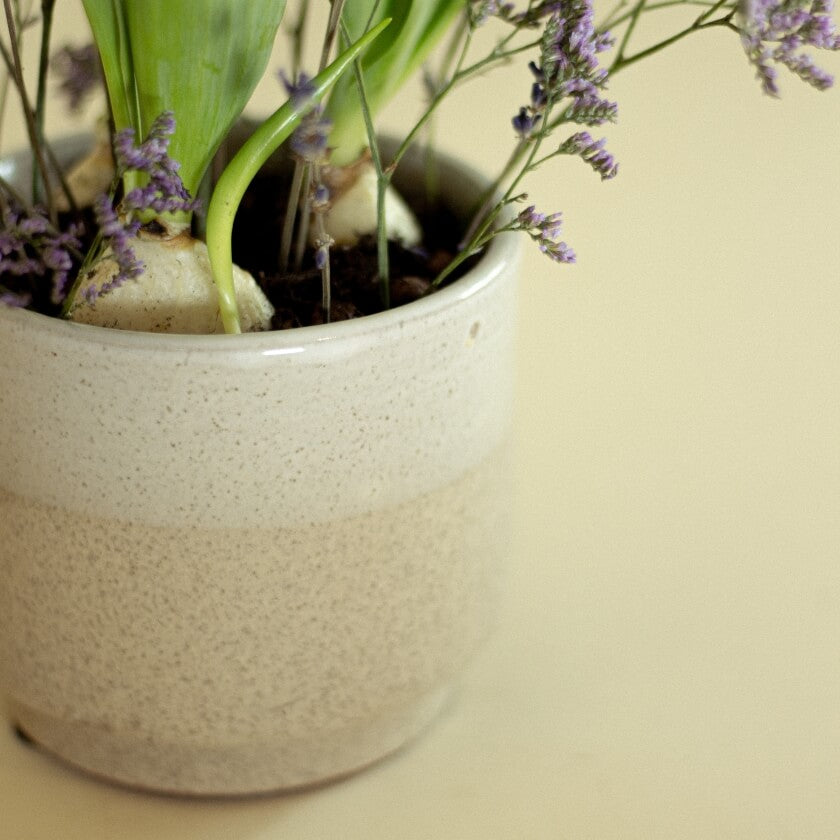 Growing Bouquet &#39;Hell&#39;