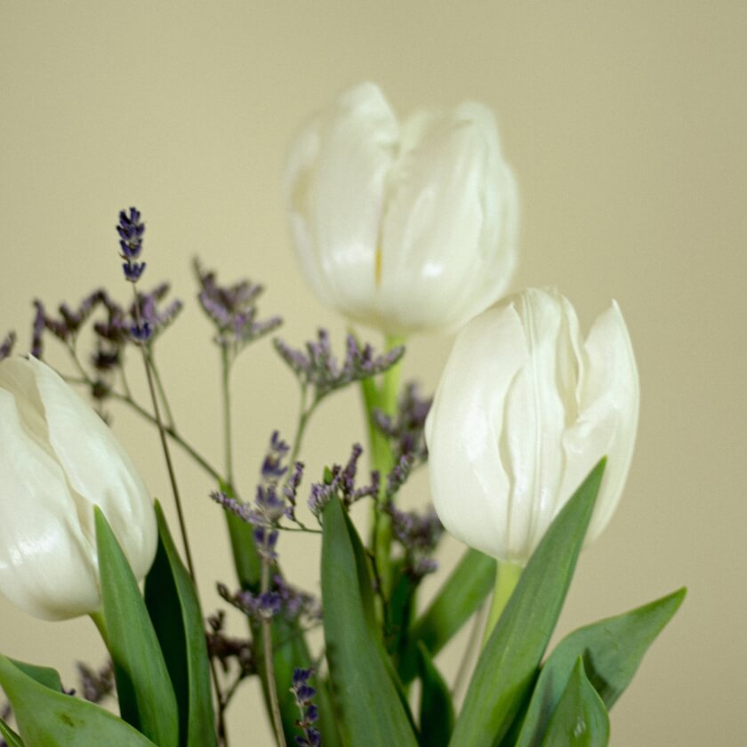 Growing Bouquet &#39;Hell&#39;