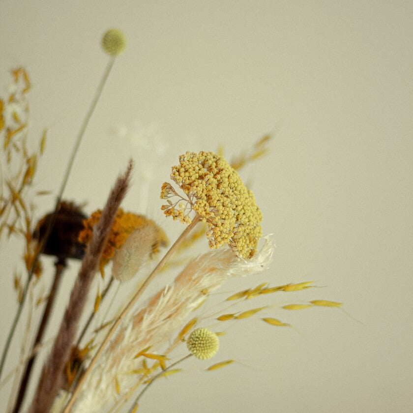Blumenstrauss Trockenblumen in Gelb Orange Boho mit Mohn Trommelschläger Achillea Pampasgras Lagurus Fuchsschwanz Trockenblumenstrauss Blumendeko
