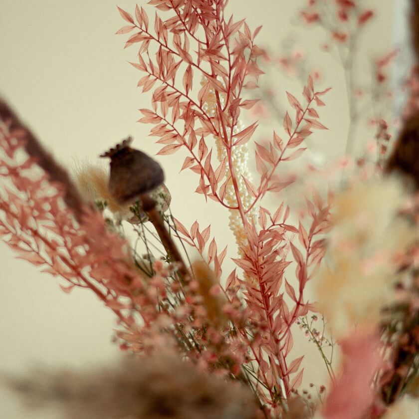 Trockenblumenstrauß 'Pink Cotton Candy'