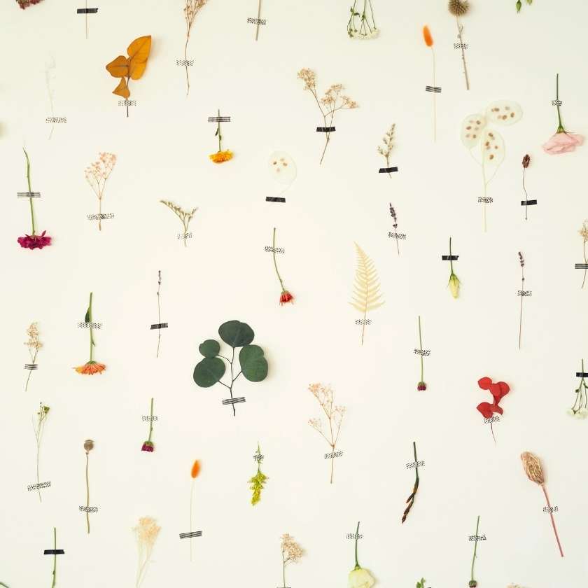 Trockenblumen Wand Dekoration DIY