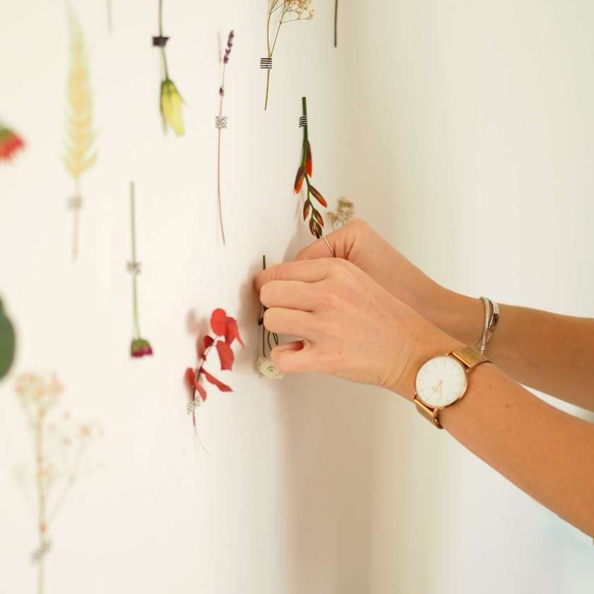 Trockenblumen Wand Dekoration DIY