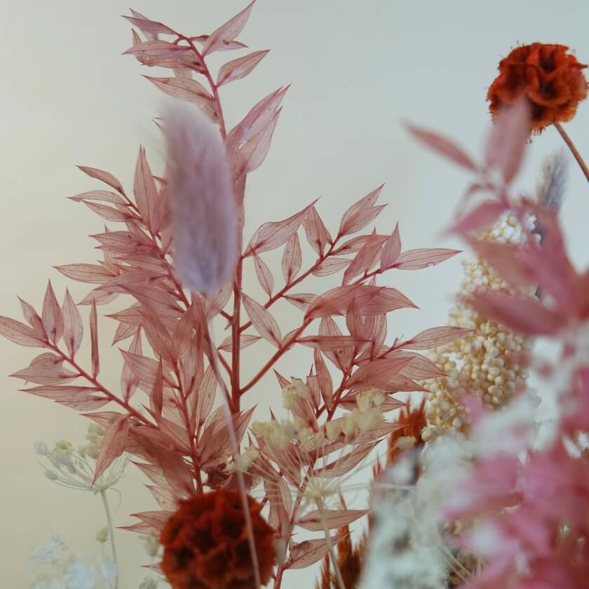 Trockenblumen Blumenstrauß Trockenblumenstrauss Blumendeko Bouquet Pampasgras Blumendeko Rosa Orange Koeln