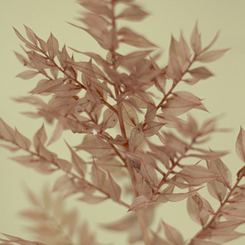 Flower Bar Pink Rosa Blumendeko Trockenblumen Blumenleiste Holz Ruscus